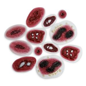 Assorted Wounds Educational Compound 6/Pk