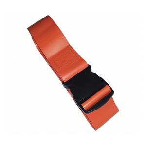 Restraint Strap Vinyl Plastic Buckle Ea