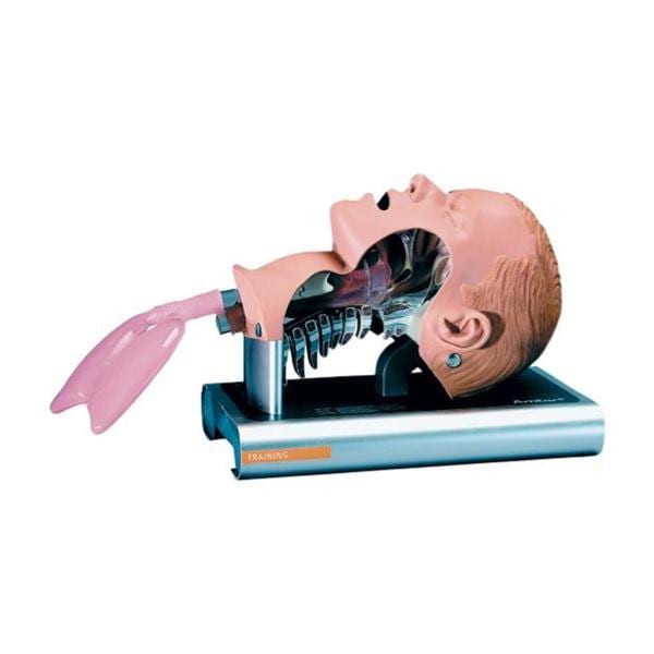 Trachea Replacement Airway Ea