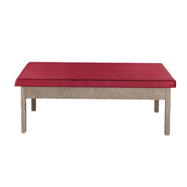 Treatment Table 500lb Capacity