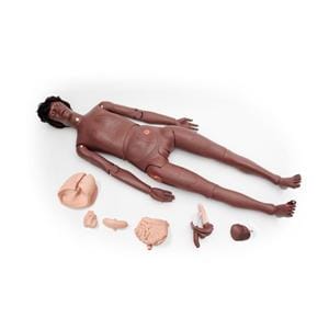 3B Scientific Full Body Training Manikin Ea