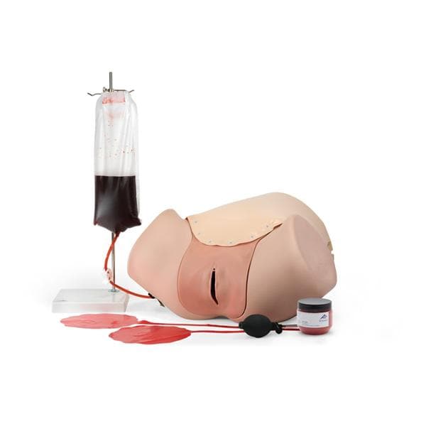 3B Scientific Postpartum Hemorrhage Control Trainer Ea