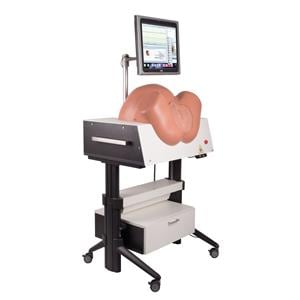 SIMone Torso Birthing Simulator Ea