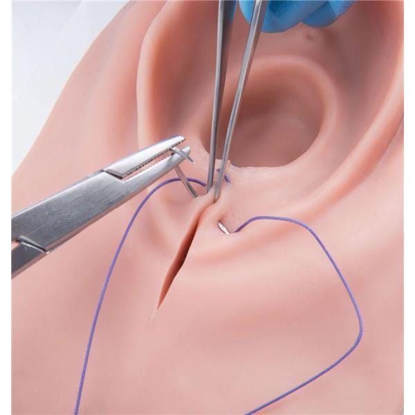 Episiotomy/Suturing Training Simulator Ea