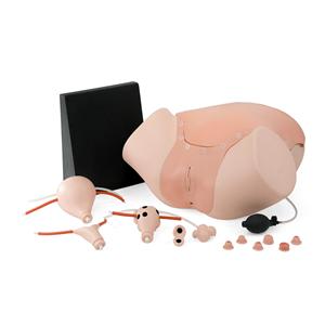 3B Scientific Gynecological Gynecological Training Trainer Ea