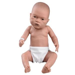3B Scientific Full Body Baby Care Baby Training Ea