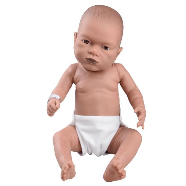 3B Scientific Full Body Baby Care Baby Training Ea