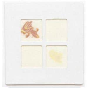 BBL DrySlide Reagent Indole 75/Pk