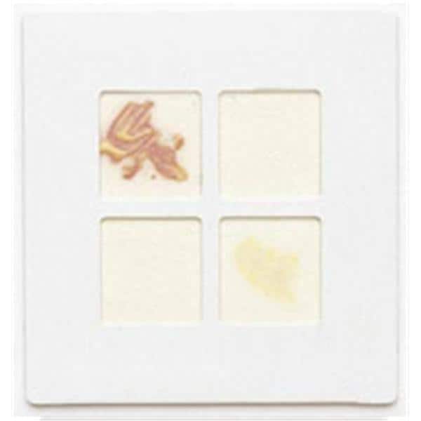 BBL DrySlide Reagent Indole 75/Pk