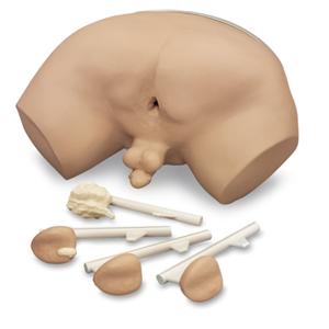 Life/form Training Adult Simulator Ea