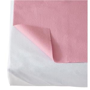 Drape Sheet Non-Sterile 100/Ca