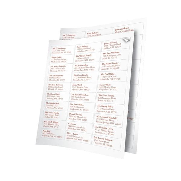 White Inkjet/Laser Address Labels 1 in x 2 5/8 in 7500/Pk