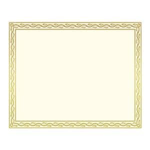 Blank Certificates 8.5 in x 11 in Serpentine Gold Foil 12/Pack 12/Pk