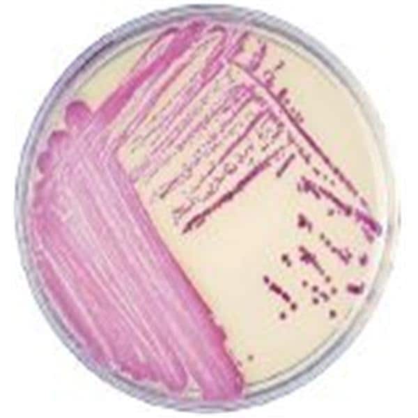 CHROMagar MRSA II Culture Plate 100/Pk