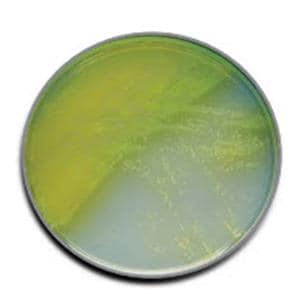 BBL Prepared Media Pseudosel Agar Cetrimide Plate 10/Pk