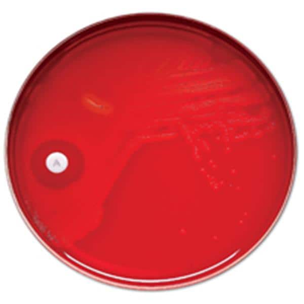 Sensi-Disc Sensitivity Disk 50/Ea