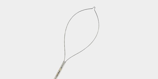 Asas de polipectom&iacute;a calientes: endoscopia gastrointestinal